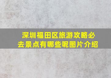 深圳福田区旅游攻略必去景点有哪些呢图片介绍