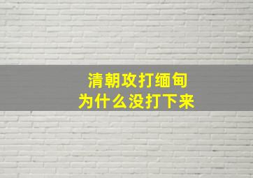 清朝攻打缅甸为什么没打下来