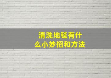 清洗地毯有什么小妙招和方法