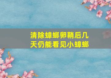 清除蟑螂卵鞘后几天仍能看见小蟑螂