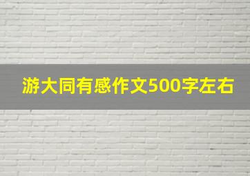 游大同有感作文500字左右