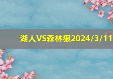 湖人VS森林狼2024/3/11