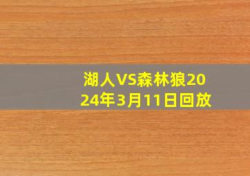 湖人VS森林狼2024年3月11日回放