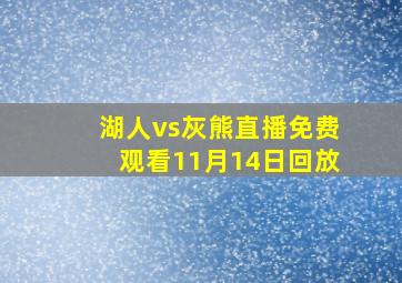 湖人vs灰熊直播免费观看11月14日回放