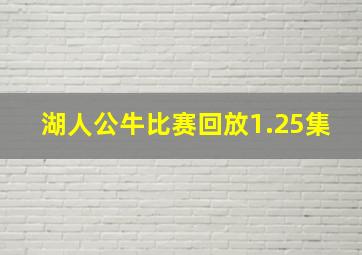 湖人公牛比赛回放1.25集