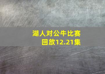 湖人对公牛比赛回放12.21集