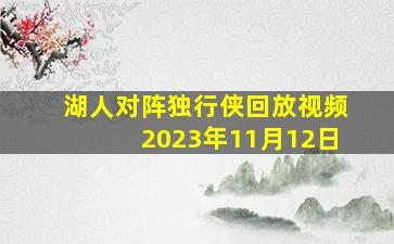 湖人对阵独行侠回放视频2023年11月12日