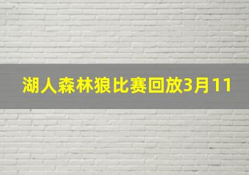 湖人森林狼比赛回放3月11