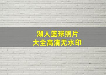 湖人篮球照片大全高清无水印