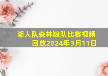 湖人队森林狼队比赛视频回放2024年3月11日