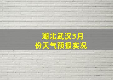 湖北武汉3月份天气预报实况