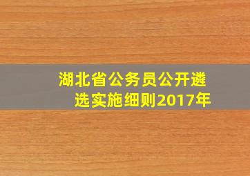 湖北省公务员公开遴选实施细则2017年