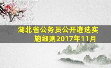 湖北省公务员公开遴选实施细则2017年11月