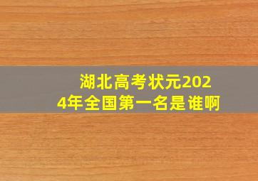 湖北高考状元2024年全国第一名是谁啊