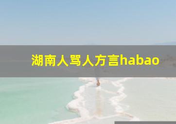 湖南人骂人方言habao