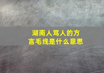 湖南人骂人的方言毛线是什么意思