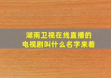 湖南卫视在线直播的电视剧叫什么名字来着