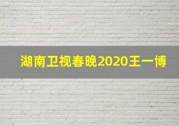 湖南卫视春晚2020王一博