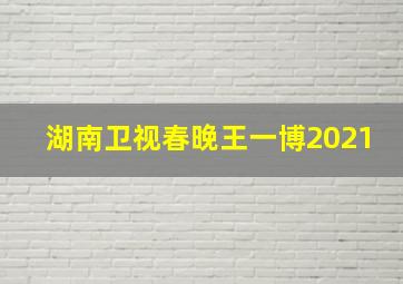 湖南卫视春晚王一博2021