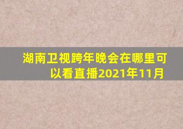 湖南卫视跨年晚会在哪里可以看直播2021年11月