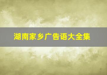 湖南家乡广告语大全集