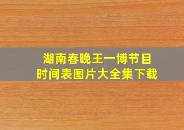 湖南春晚王一博节目时间表图片大全集下载