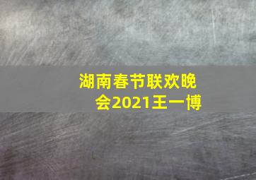 湖南春节联欢晚会2021王一博