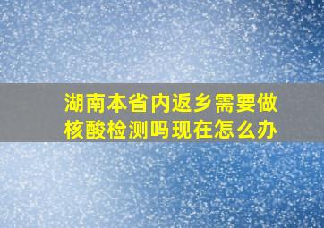 湖南本省内返乡需要做核酸检测吗现在怎么办