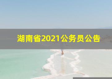 湖南省2021公务员公告