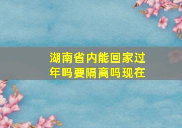 湖南省内能回家过年吗要隔离吗现在