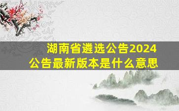 湖南省遴选公告2024公告最新版本是什么意思