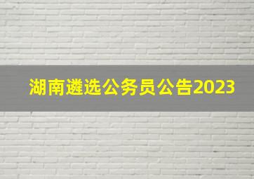 湖南遴选公务员公告2023