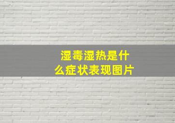 湿毒湿热是什么症状表现图片