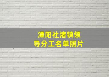 溧阳社渚镇领导分工名单照片