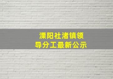 溧阳社渚镇领导分工最新公示