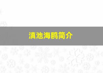 滇池海鸥简介