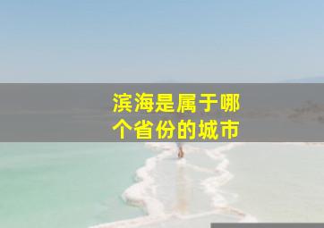 滨海是属于哪个省份的城市