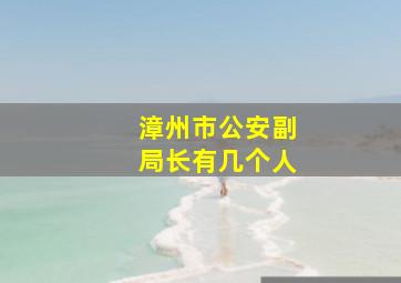 漳州市公安副局长有几个人