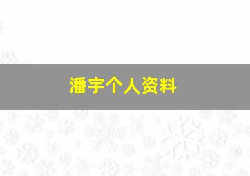 潘宇个人资料