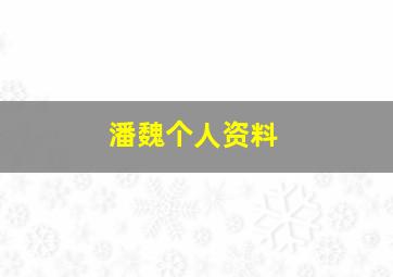 潘魏个人资料