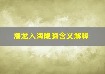 潜龙入海隐晦含义解释