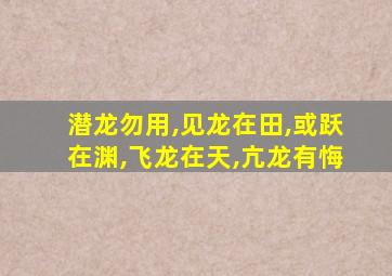 潜龙勿用,见龙在田,或跃在渊,飞龙在天,亢龙有悔