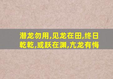 潜龙勿用,见龙在田,终日乾乾,或跃在渊,亢龙有悔