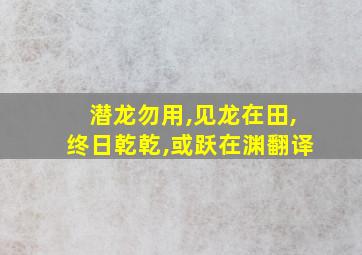 潜龙勿用,见龙在田,终日乾乾,或跃在渊翻译