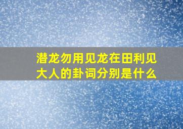 潜龙勿用见龙在田利见大人的卦词分别是什么