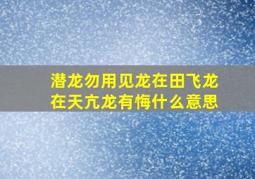 潜龙勿用见龙在田飞龙在天亢龙有悔什么意思