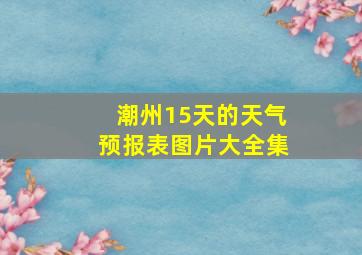 潮州15天的天气预报表图片大全集