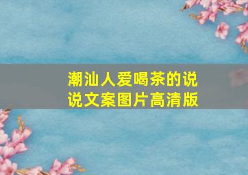 潮汕人爱喝茶的说说文案图片高清版