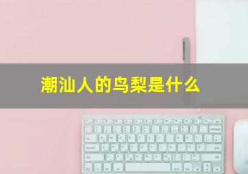 潮汕人的鸟梨是什么