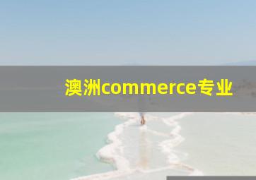 澳洲commerce专业